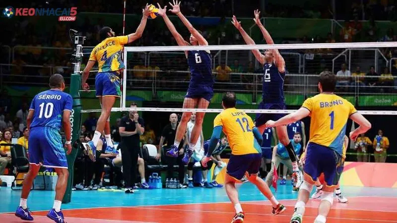 Cá cược bóng chuyền là gì?