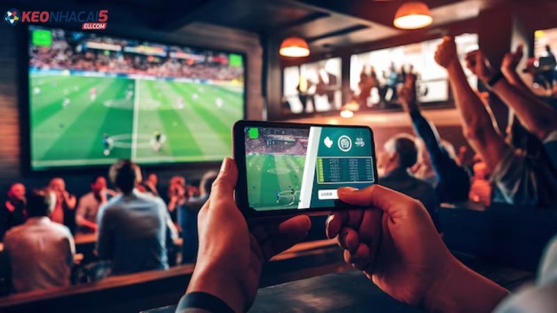 Cách đọc kèo bóng đá chi tiết