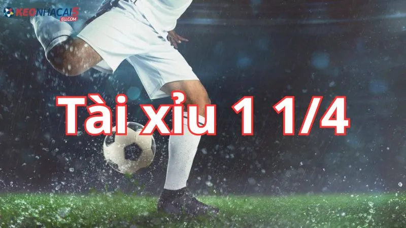 Cách đọc kèo tài xỉu 1 1/4