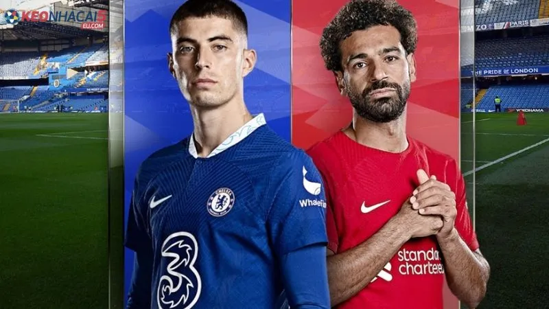 Nhận Định là gì?