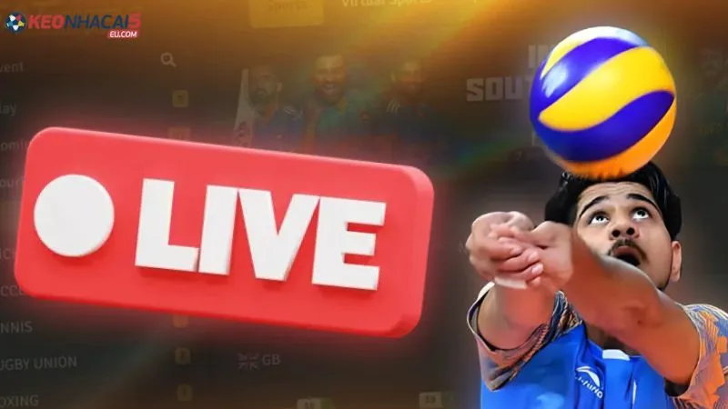 Những dạng cược bóng chuyền thông dụng