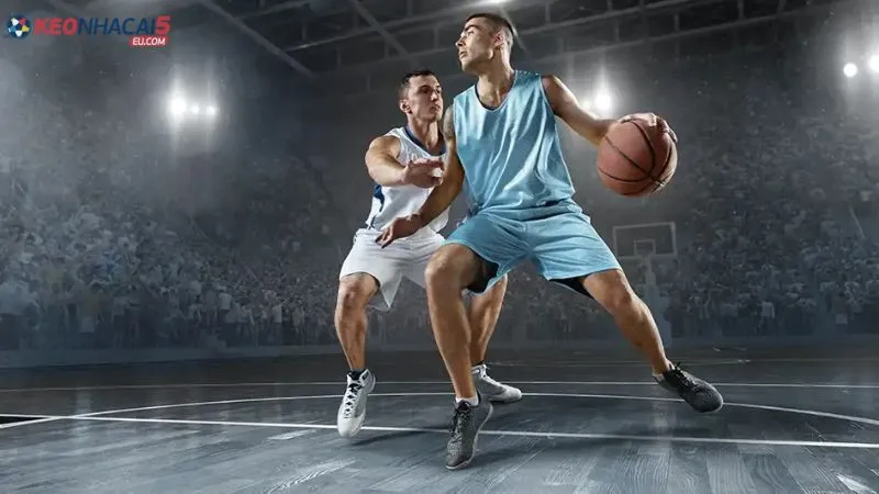 Phân loại kèo cược trong cá cược bóng rổ